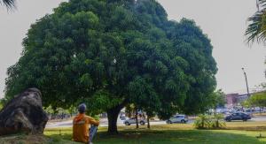 Relao entre ser humano e natureza vai estar no centro das discusses na Semana Municipal do Meio AmbienteRelao entre ser humano e natureza vai estar no centro das discusses na Semana Municipal do Meio Ambiente